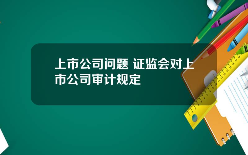 上市公司问题 证监会对上市公司审计规定